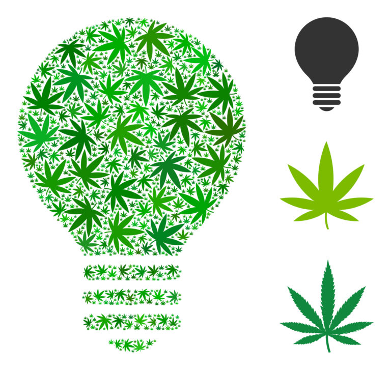 Cannabis-Gene