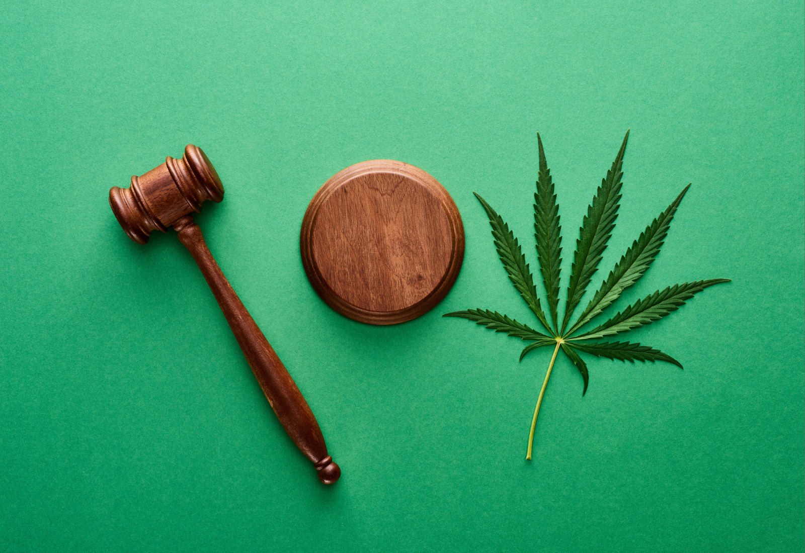 大麻生物质的诉讼