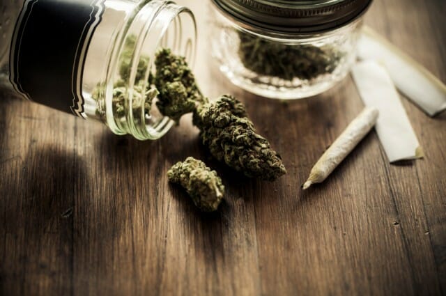 marijuana buds in a glass mason jar