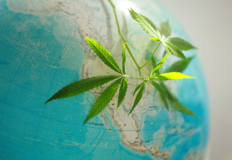 internationales Cannabis-Unternehmen