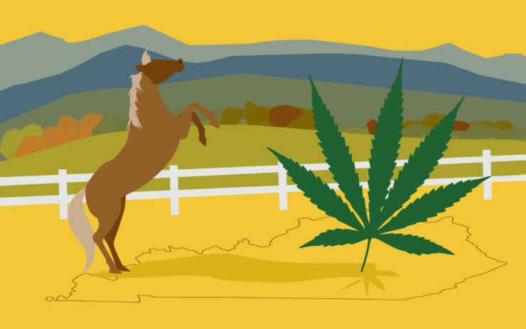 Kentucky cannabis and hemp
