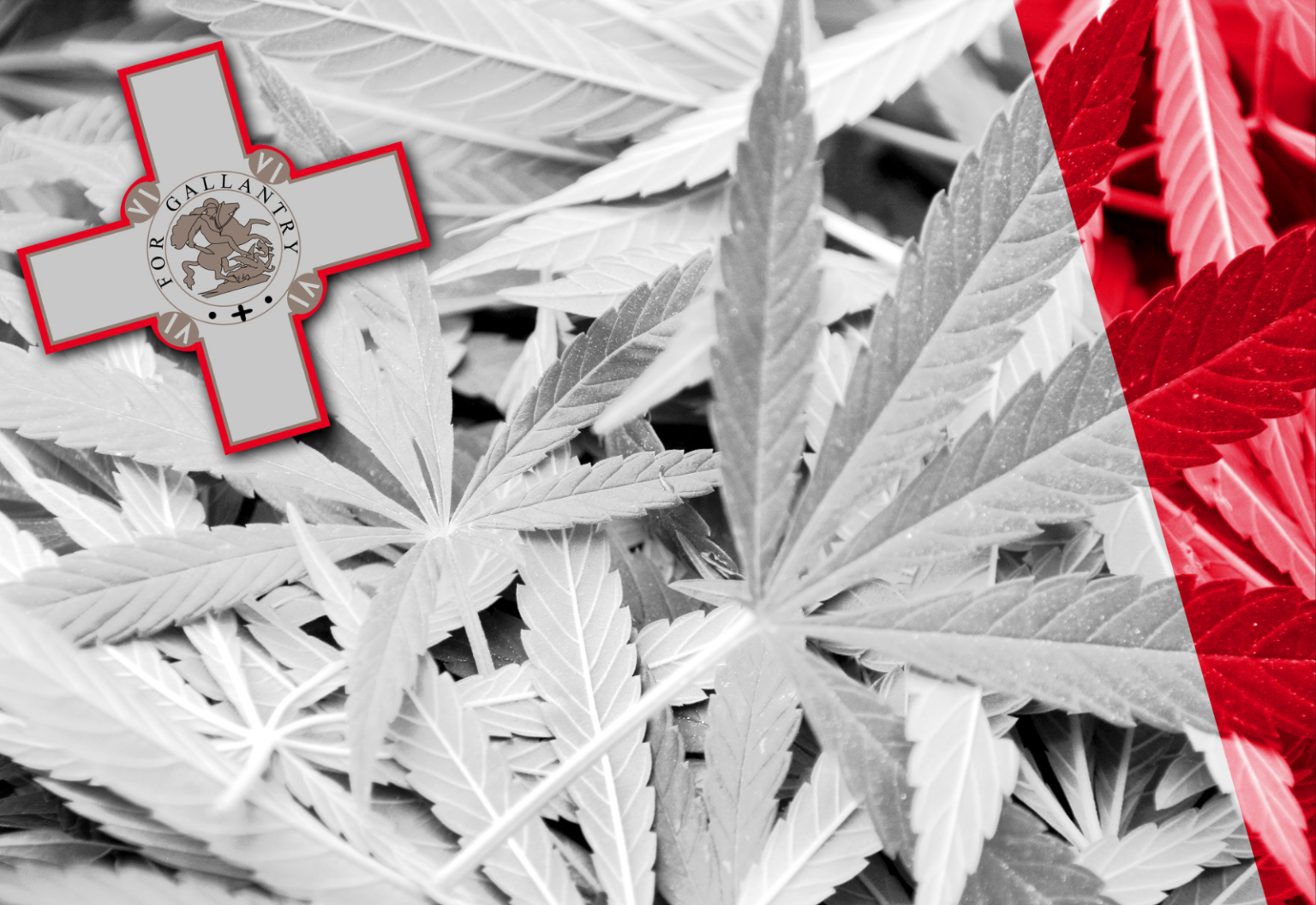 Мальта и марихуана 10 фактов про марихуану