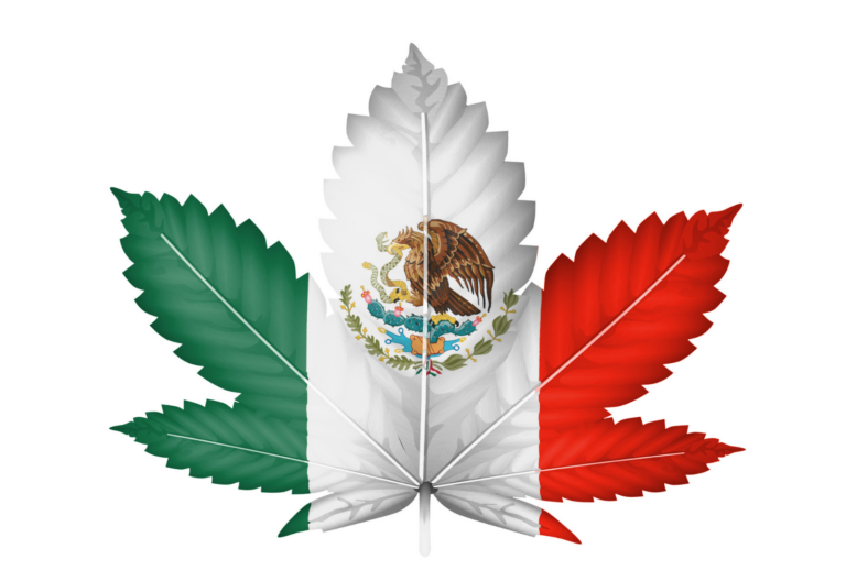 mexico cannabis frequently asked questions