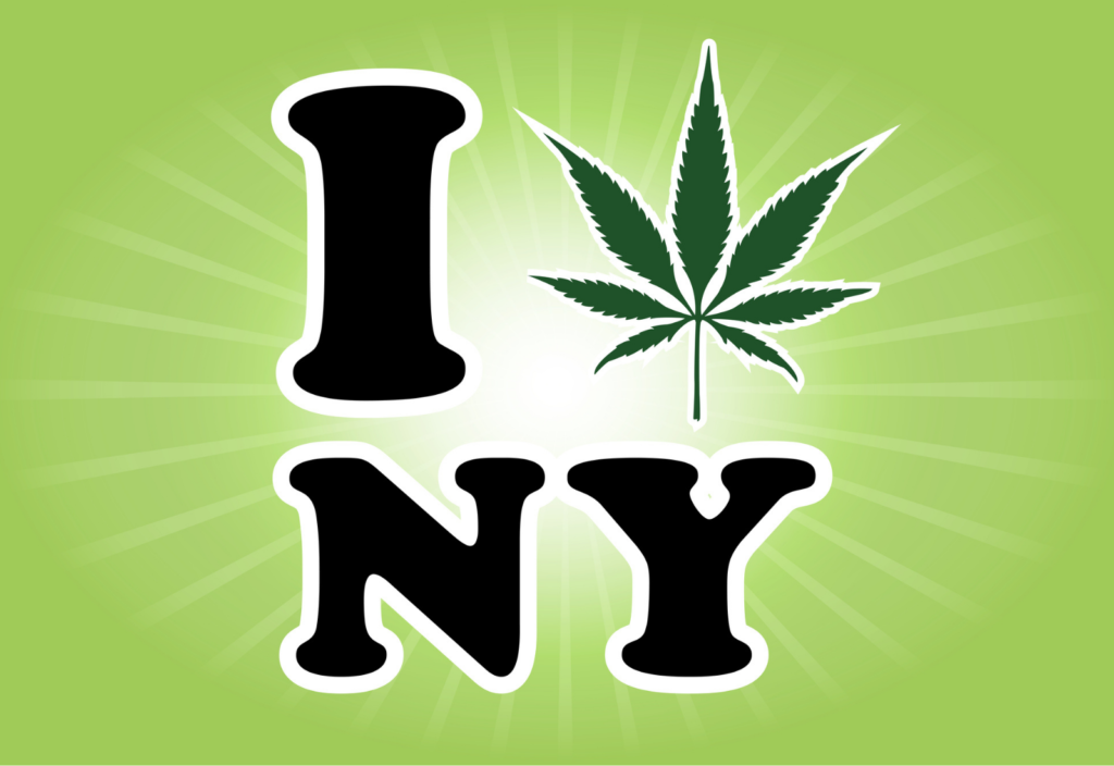 new york cannabis control board news