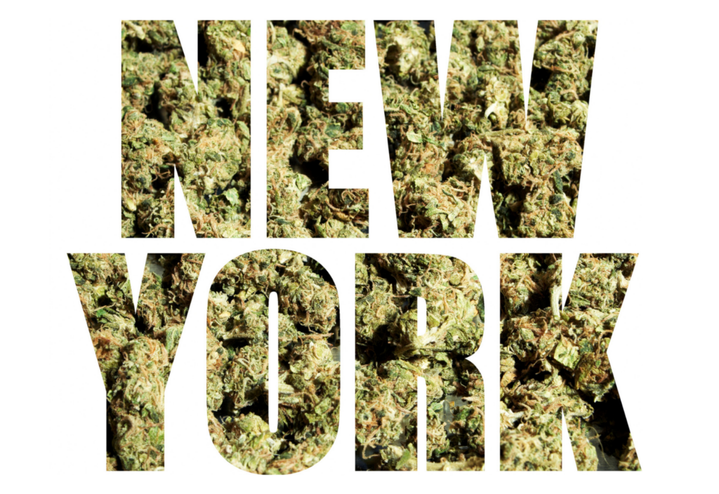 new york cannabis marijuana