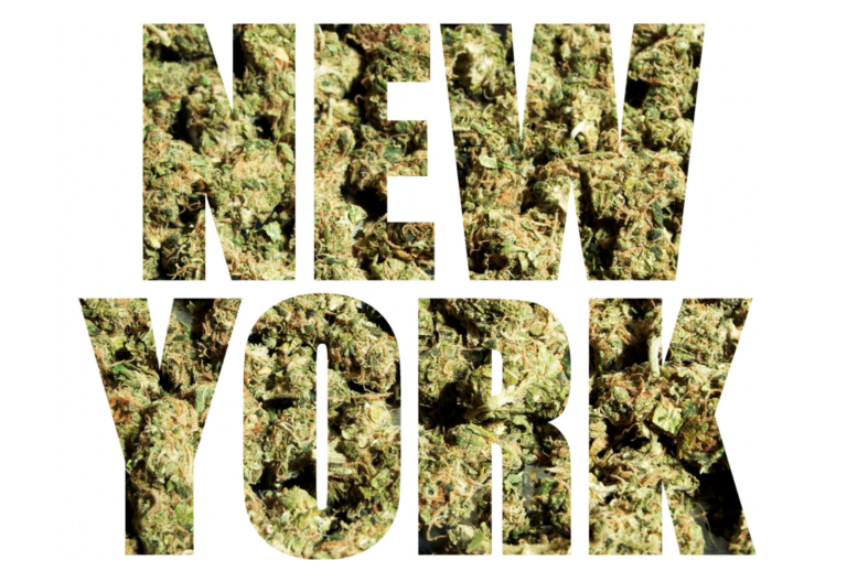 cannabis marihuana nueva york