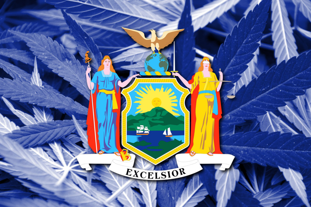 new york cannabis task force