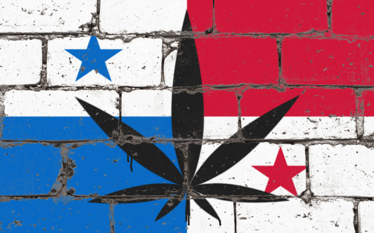 cannabis medicinal en panamá