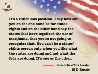 New York senator Al D'Amato marijuana quote