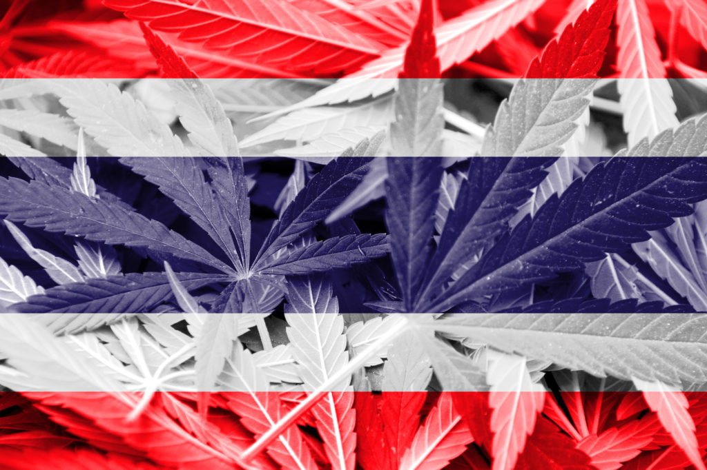thailand cannabis