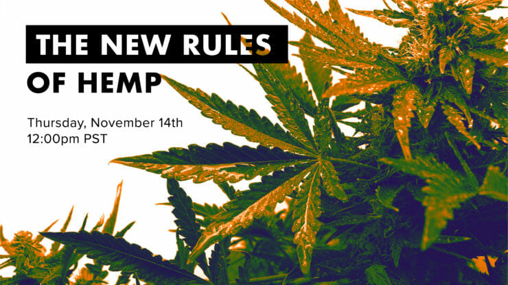The new rules of hemp poster