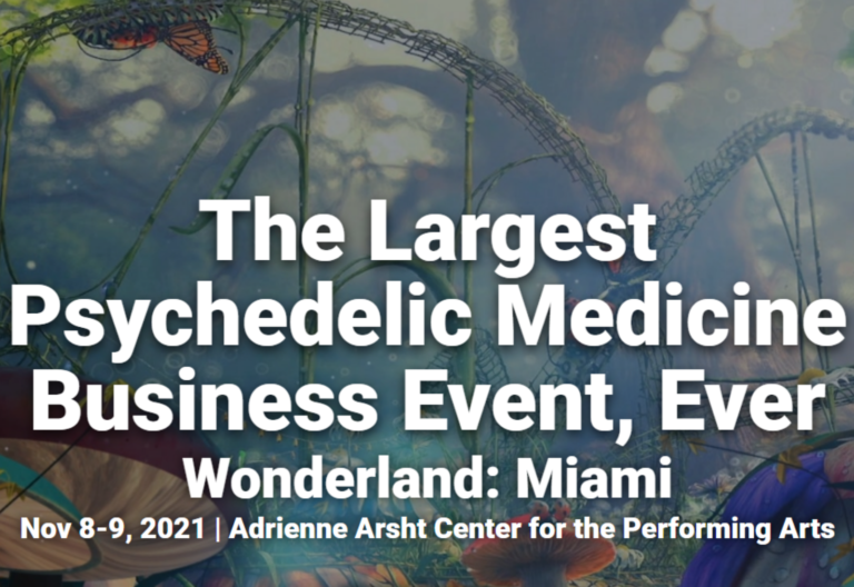 wonderland miami psychedelic business